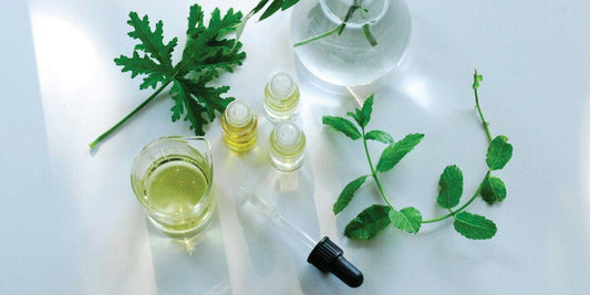 What is Aromatherapy? - Tisserand Malaysia